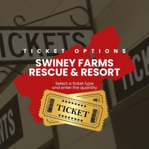 Swiney Farms Rescue and Resort - swineyfarms.com - Ticket options - Featured Image - Villa Rica, Georgia
