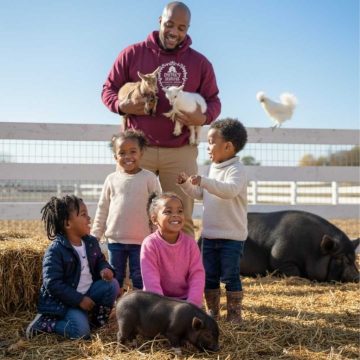 Baby Goats, Piglets, and Baby Chicks